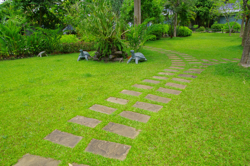 coupe-bordure jardin